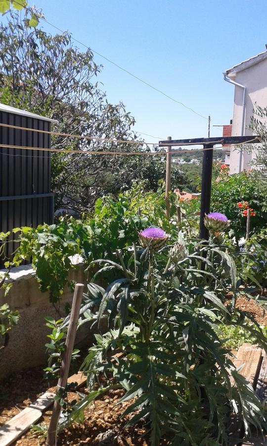 House Krk Otel Krk Town Dış mekan fotoğraf